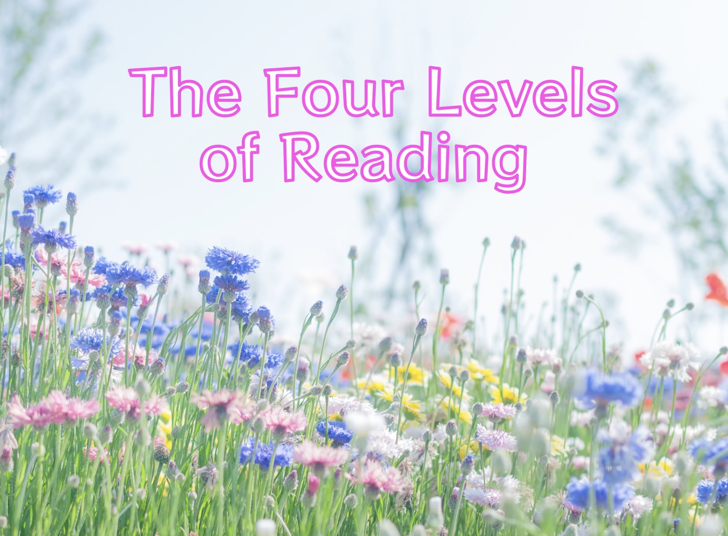 The Four Levels of Reading