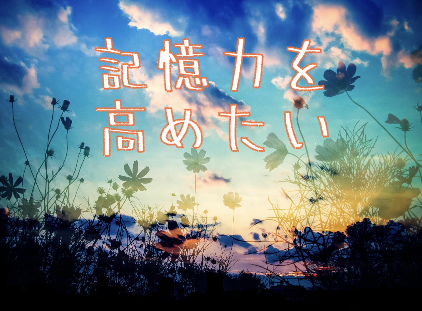 記憶力を高めたい