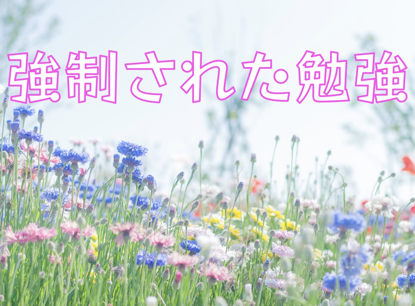 強制された勉強