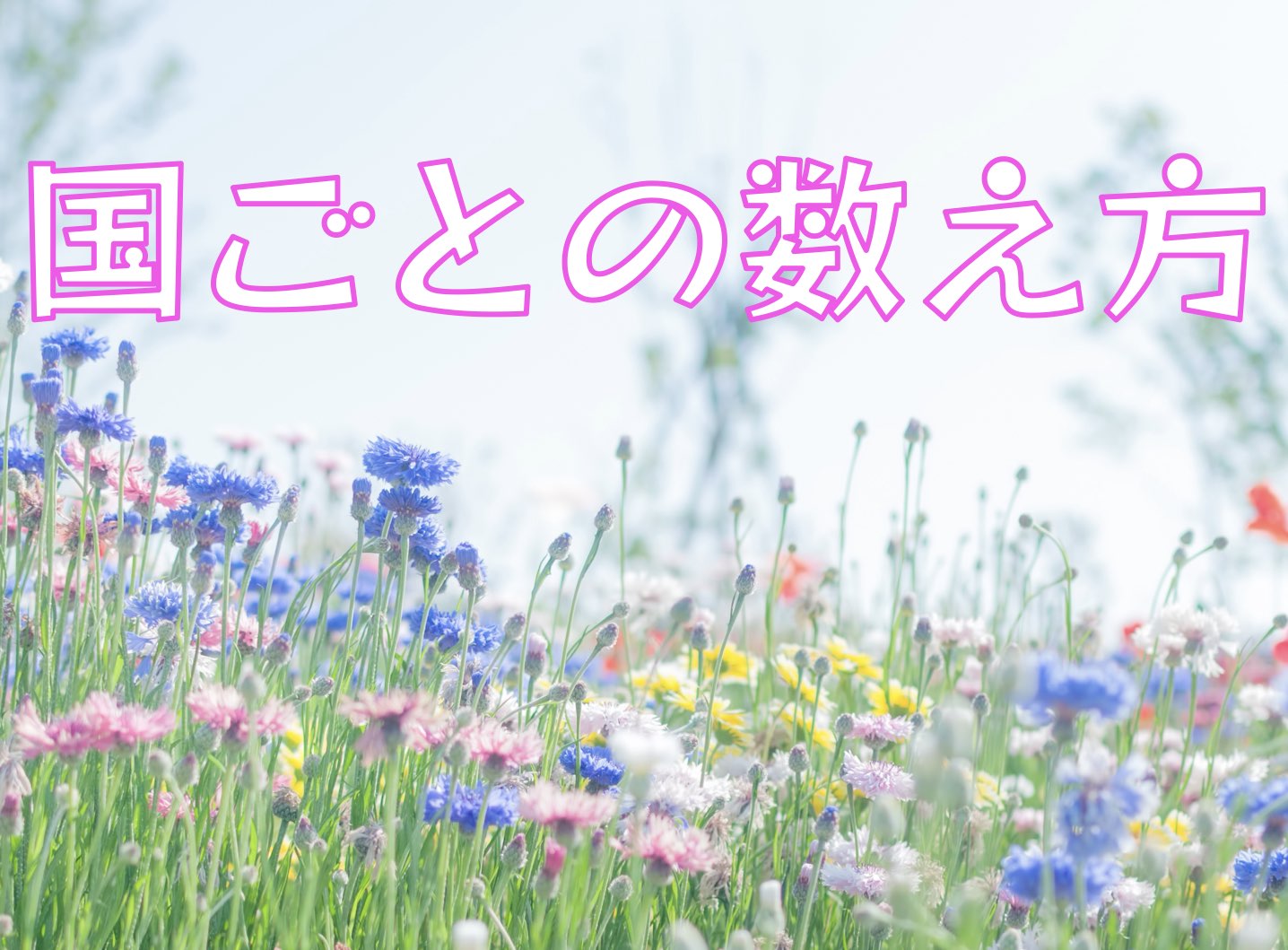 国ごとの数え方